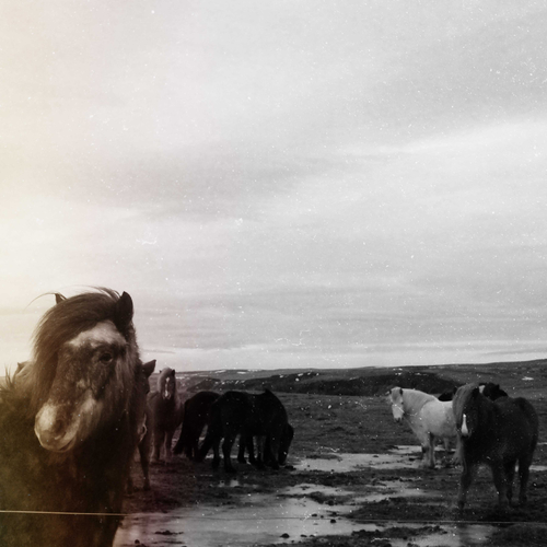 Imagen de apoyo de  OFHUGSUN: Garður (Ofhugsun)