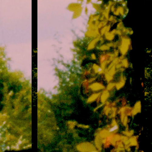 Imagen de apoyo de  LINANTHEM: my respite / goldfinger (rework)