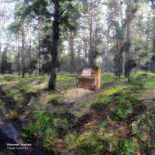 Imagen de apoyo de  HARRISON, K.: Forest Hymn #1 (Niwhsa)