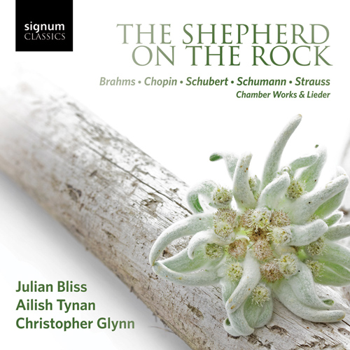 Imagen de apoyo de  Clarinet and Soprano Recital: Bliss, Julian / Tynan, Ailish - BRAHMS, J. / CHOPIN, F. / SCHUBERT, F. / SCHUMANN, R. (The Shepherd on the Rock)