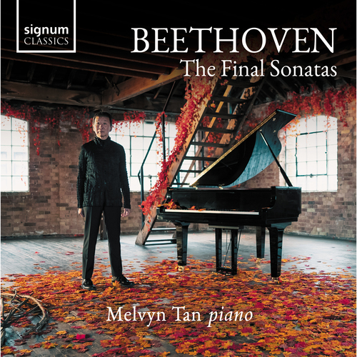 Imagen de apoyo de  BEETHOVEN, L. van: Piano Sonatas Nos. 30, 31 and 32 (Tan)
