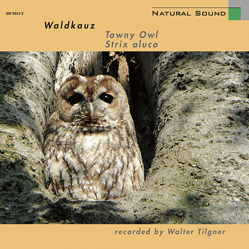 Imagen de apoyo de  SOUND OF NATURE (THE): Waldkauz