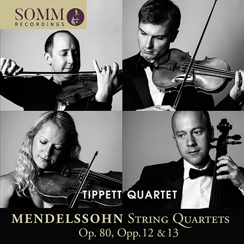 Imagen de apoyo de  MENDELSSOHN, Felix: String Quartets Nos. 1, 2, 6 (Tippett Quartet)