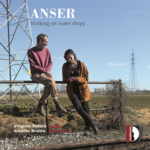 Imagen de apoyo de  SUTERA, V. / BRAIDA, A.: Walking on water drops (Anser) (Sutera, Braida)