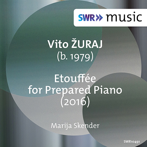 Imagen de apoyo de  ŽURAJ, V.: Etouffée (Skender)