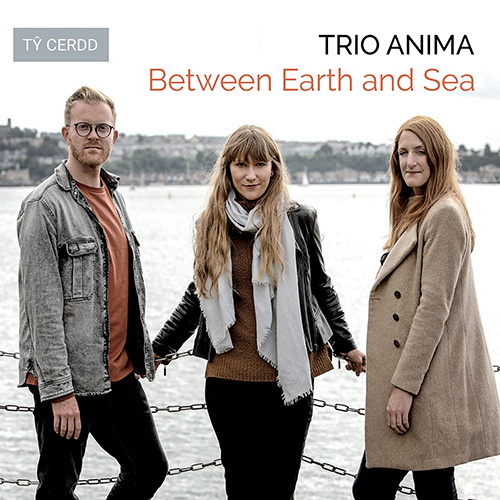 Imagen de apoyo de  BEAMISH, S.: Between Earth and Sea / BAX, A.: Elegiac Trio / GYNN, E.N: Song for an Ancient Tree / LONG, A.-J.: Somewhere Becoming Rain (Trio Anima)