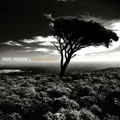 Imagen de apoyo de  Piano Recital: Rogosin, David - BARTÓK, B. / BRAHMS, J. / DALLAPICCOLA, L. / MESSIAEN, O. (Incandescence)
