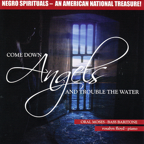 Imagen de apoyo de  COME DOWN ANGELS AND TROUBLE THE WATER
