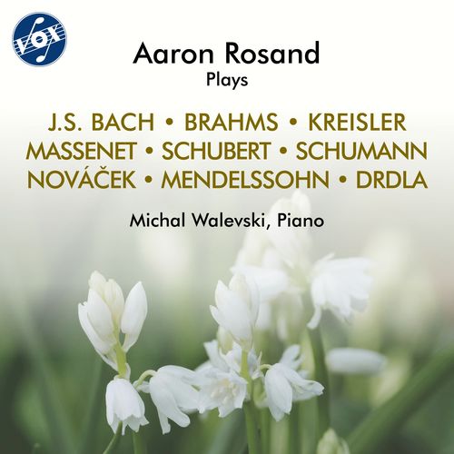 Imagen de apoyo de  Violin and Piano Recital: Rosand, Aaron / Walevski, Michal - MASSENET, J. / BRAHMS, J. / KREISLER, F. / NOVÁČEK, O. / SCHUBERT, F.