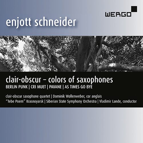 Imagen de apoyo de  SCHNEIDER, E.: Berlin Punk / Cri Muet / Pavane (Clair-obscur - Colors of Saxophones) (Clair-Obscur Saxophone Quartet, Siberian State Symphony, Lande)