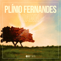 Dawn
