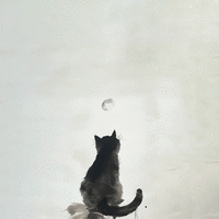 Miss Saeki Miss Saeki