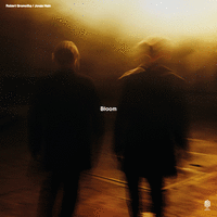 Bloom
