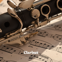 Clarinet Clarinet