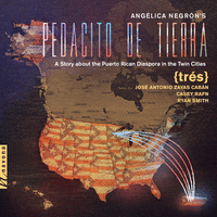 Angélica Negrón's Pedacito de tierra