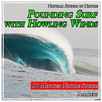 NATURAL SOUNDS OF NATURE - Pounding Surf with Howling Winds