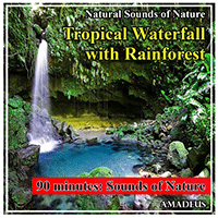 Imagen de apoyo de  NATURAL SOUNDS OF NATURE - Tropical Waterfall with Rainforest