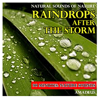 NATURAL SOUNDS OF NATURE - Raindrops after the Storm