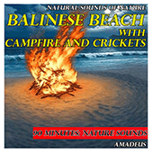 NATURAL SOUNDS OF NATURE - Balinese Beach with Campfire and Crickets