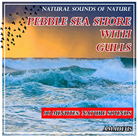 NATURAL SOUNDS OF NATURE - Pebble Sea Shore with Gulls