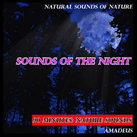 NATURAL SOUNDS OF NATURE - Sounds of the Night