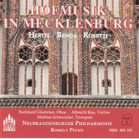 Hofmusik in Mecklenburg