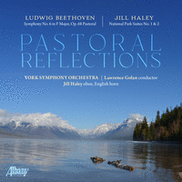 Pastoral reflections